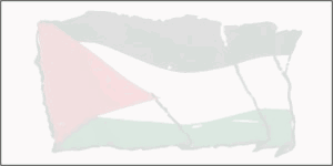 save-palestine1
